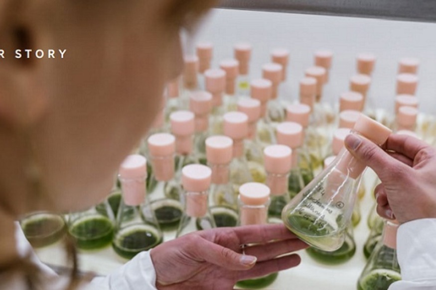 Retour sur la subvention de 2 millions d’euros reçu part ALGAMA avec Alvyn Séverien cofondateur.