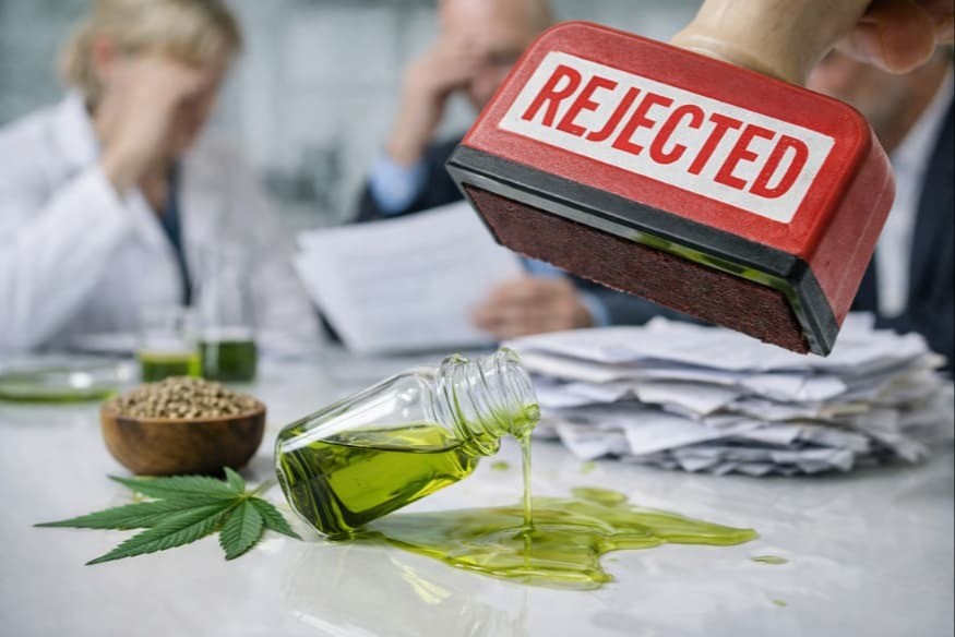 L’EFSA juge insuffisant le dossier sur un extrait de chanvre comme nouvel aliment
